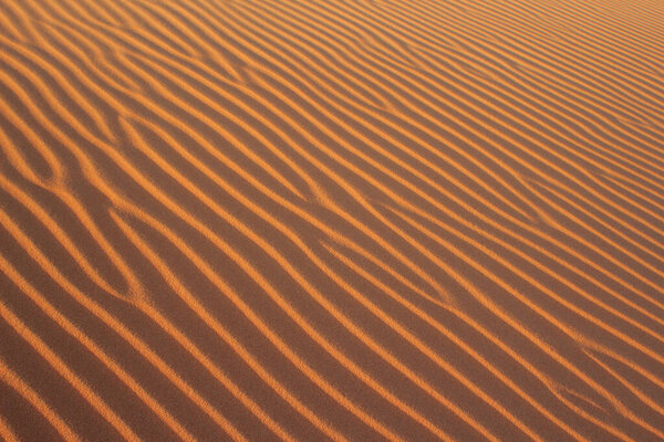 Panoramic Sahara Scenic Sand Dune Stock Photo