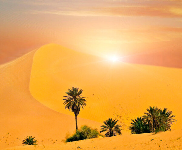 Panoramic Sahara Scenic Sun Flare Royalty Free Stock Images