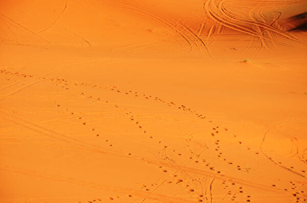 Caravan Footprint Panoramic Sahara Scenic Royalty Free Stock Photos