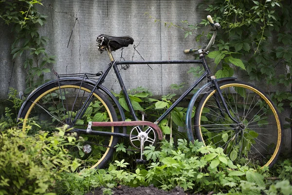 Rower starodawny — Zdjęcie stockowe