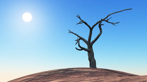 Desert Landscape with Sun and dead Tree — Stock Photo, Image