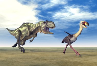 yangchuanosaurus ve phorusrhacos