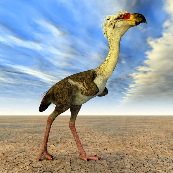 Terror Bird Phorusrhacos — Stockfoto