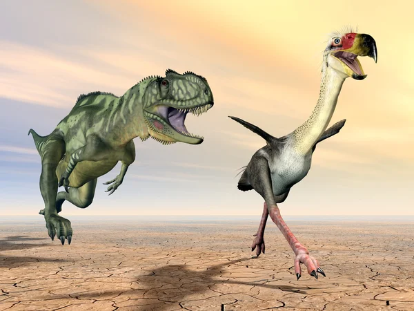 Yangchuanosaurus e Phorusrhacos — Foto Stock