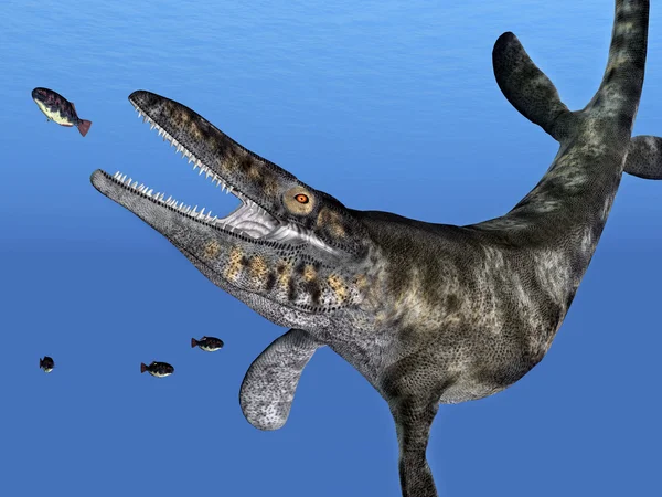 Tylosaurus durante la caccia — Foto Stock