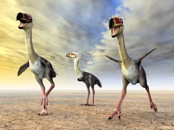 Terror Bird Phorusrhacos — Stock Photo, Image