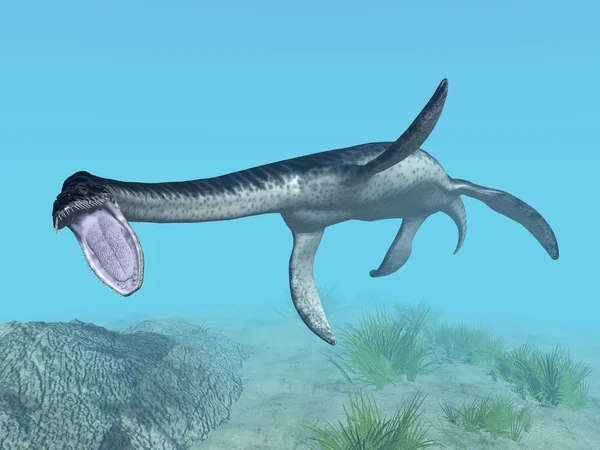 Plesiosaurus — Stock fotografie