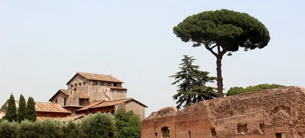 Forum romanum, ayrıntı — Stok fotoğraf