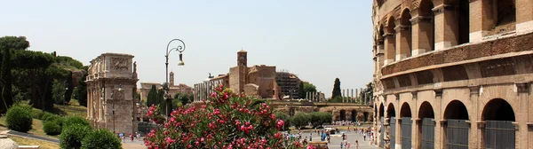 Het colosseum, detail — Stockfoto