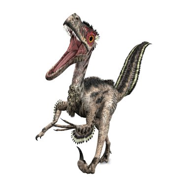 VelociRaptor