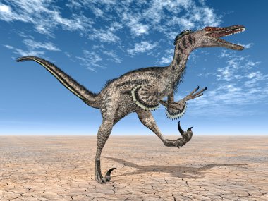 VelociRaptor