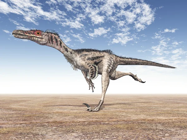 VelociRaptor — Stok fotoğraf