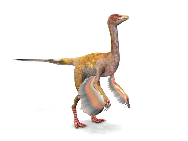 Caudipteryx — Stock Photo, Image