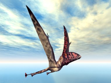 uçan dinozor dimorphodon