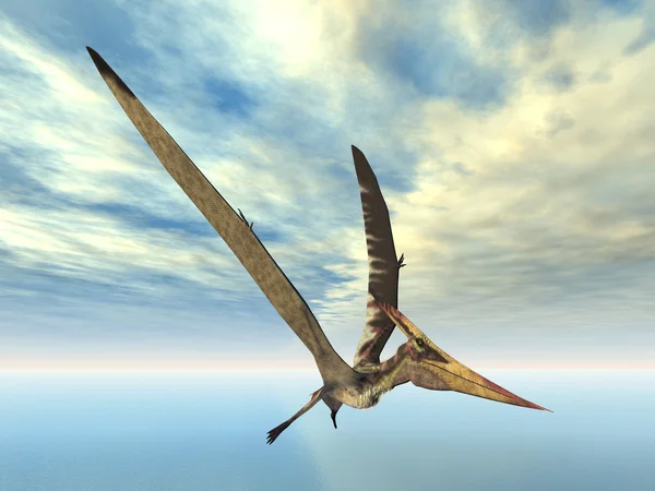 Летучий динозавр-птеранодон — стоковое фото