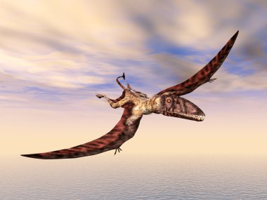uçan dinozor dimorphodon