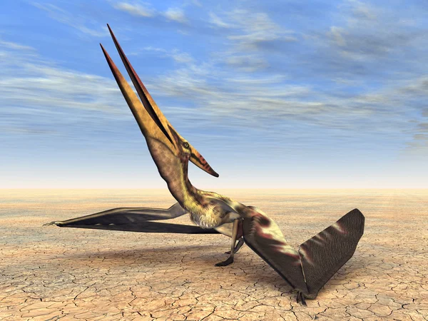 Dinossauro voador Pteranodon — Fotografia de Stock