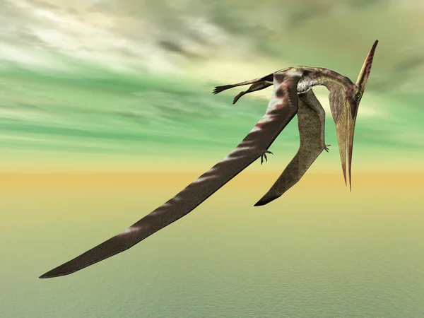 Που φέρουν pteranodon δεινόσαυρος — Φωτογραφία Αρχείου