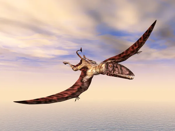 Dinosaure volant Dimorphodon — Photo