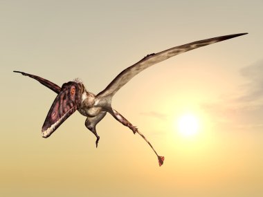 uçan dinozor dimorphodon