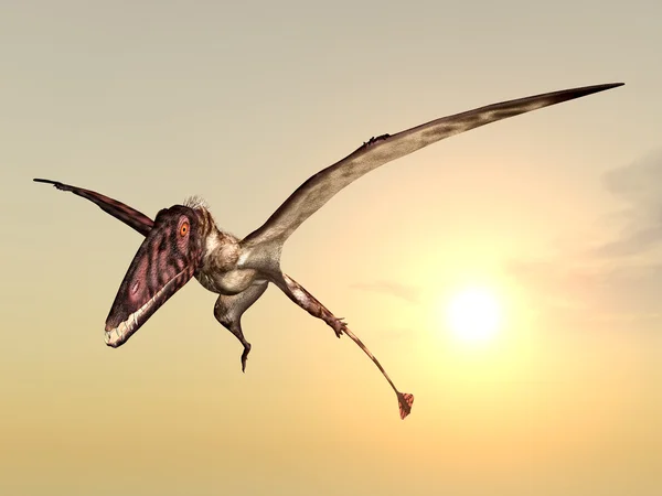 Vliegende dinosaur dimorphodon — Stockfoto