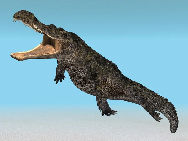 Crocodilo de mergulho — Fotografia de Stock