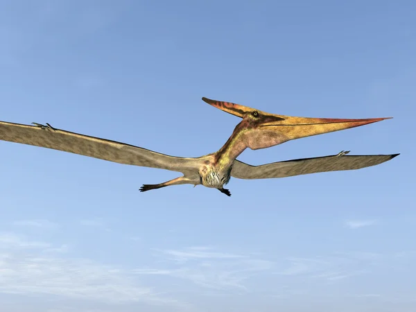 Dinosauro volante Pteranodon — Foto Stock
