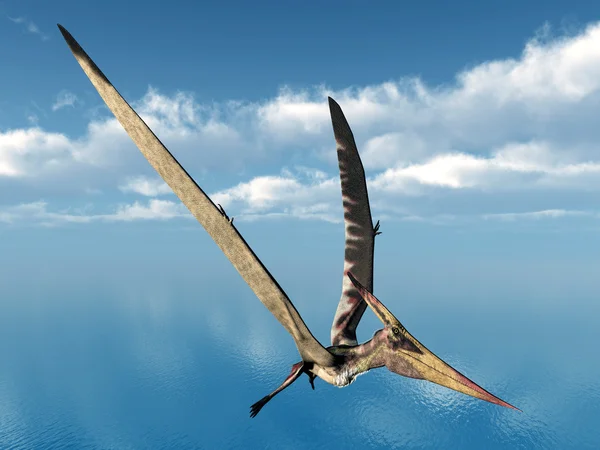 Létání dinosaurus pteranodon — Stock fotografie