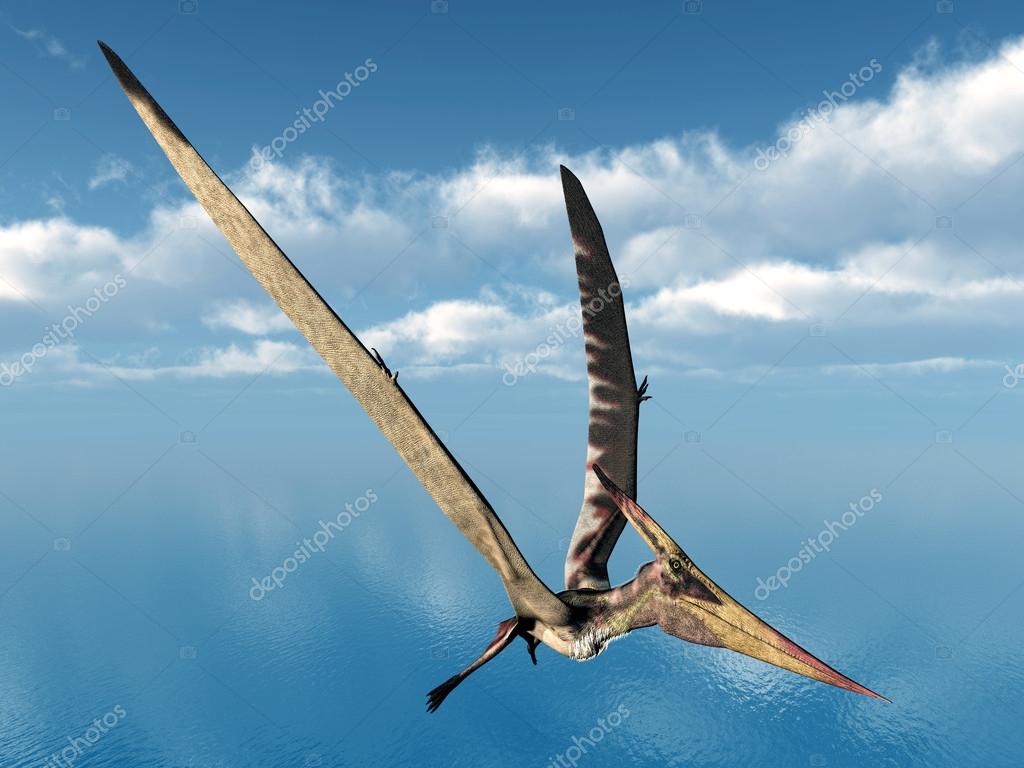 Anyone do commissions? Looking for a polyraptor and pantlaza, image size:1024x768