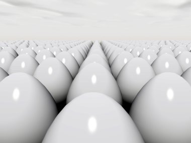 Beyaz yumurta