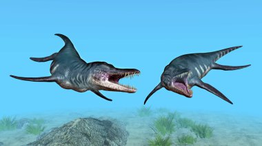 Liopleurodon