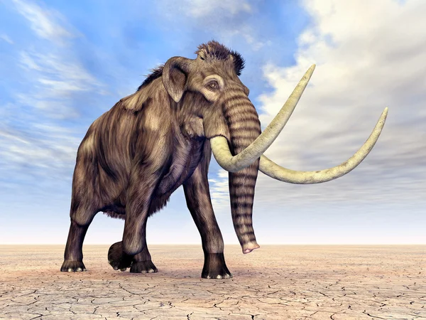 Mammoth — Stock Photo, Image