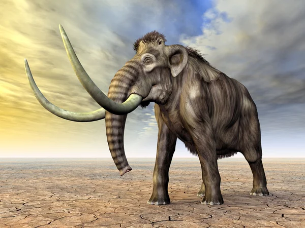 Mammoth — Stock Photo, Image