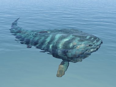 Dunkleosteus