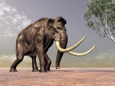 Mamut.