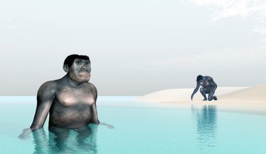 Homo habilis - insan evrimi