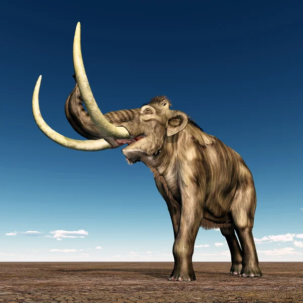 Mammut — Stockfoto