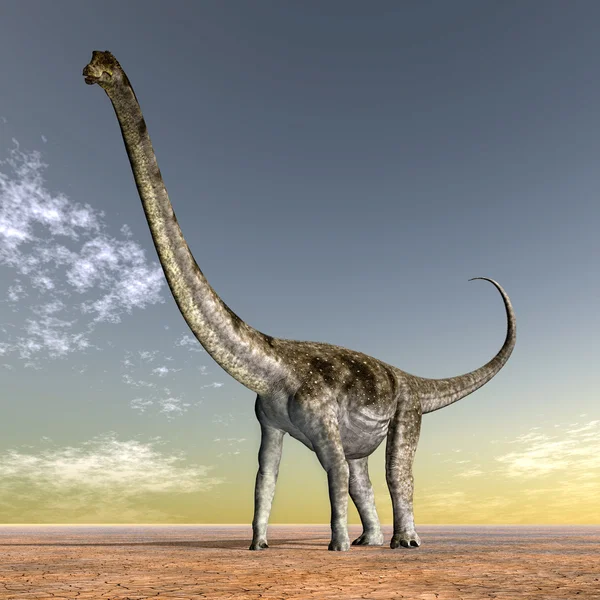 Dinosauro Puertasaurus — Foto Stock