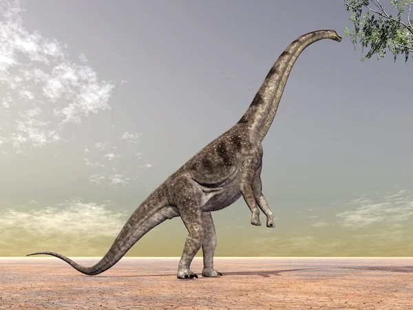 공룡 puertasaurus — 스톡 사진