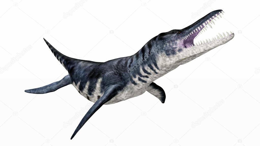 Liopleurodon — Stock Photo © mic1805 15793379