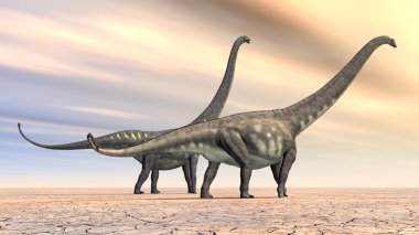 dinozor mamenchisaurus