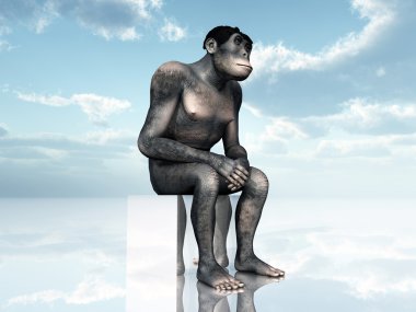 Homo habilis - insan evrimi