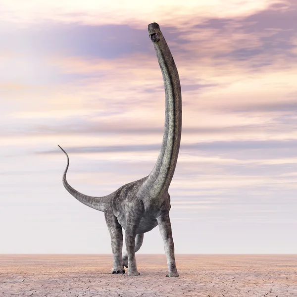Dinosauro Puertasaurus — Foto Stock