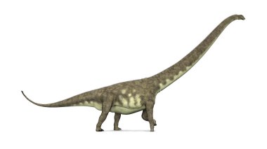dinozor mamenchisaurus