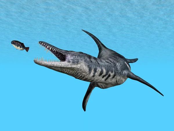 Liopleurodon ise avcılık — Stok fotoğraf