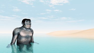 Homo habilis - insan evrimi