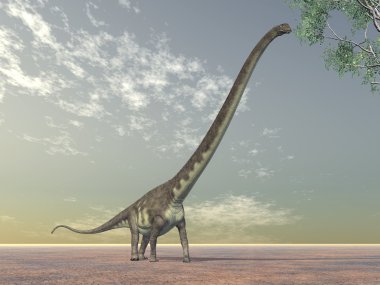 dinozor mamenchisaurus