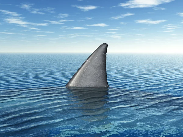 Great White Shark Fin — Stock Photo, Image