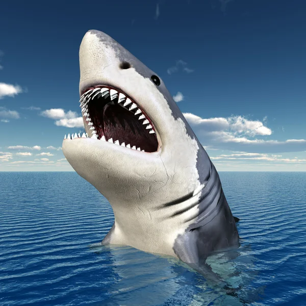 White Shark — Stock Photo, Image