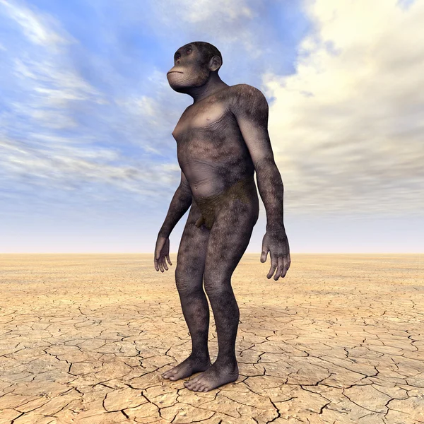 Homo Habilis - Evolução Humana — Fotografia de Stock